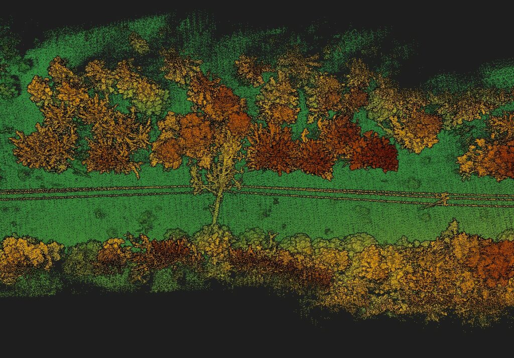 Fallen tree on a power line discovered in a LiDAR power line inspection