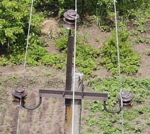 Normal cross-arm on a power line pole